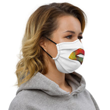 Load image into Gallery viewer, Colorful Lip 15 - Premium face mask